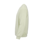 Sweatshirt unissexo de algodão orgânico em felpa escovada 300 g/m² Waikiki cor verde pastel terceira vista 