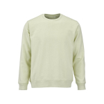 Sweatshirt unissexo de algodão orgânico em felpa escovada 300 g/m² Waikiki cor verde pastel vista frontal 