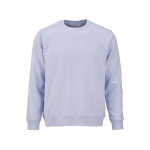Sweatshirt unissexo de algodão orgânico em felpa escovada 300 g/m² Waikiki cor azul pastel vista frontal 