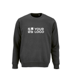 Sweatshirt unissexo de algodão orgânico em felpa escovada 300 g/m² Waikiki vista principal