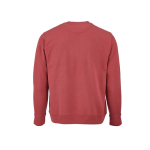Sweatshirt unissexo de algodão orgânico com felpa francesa 300 g/m² Capri cor hortelã poderosa vista traseira 