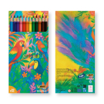 Conjunto de colorir reciclado com certificação FSC® e 12 lápis BIC® cor multicolor
