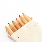 6 lápis de cor em caixa de cartão com sementes de petúnia cor natural quinta vista