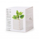 Vaso biodegradável com caixa de oferta