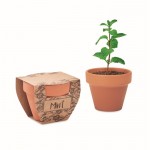 Vaso de terracota com sementes de hortelã e pastilha de terra incluída cor madeira