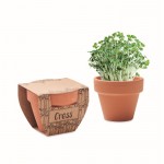 Vaso de terracota com sementes de agrião e pastilha de terra incluída cor madeira