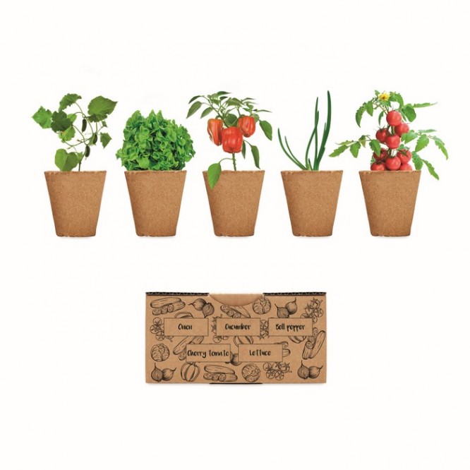 Kit de cultivo de verduras cor bege