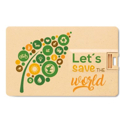 Cartão usb ecológico para personalizar cor madeira clara