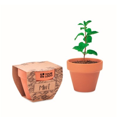 Vaso de terracota com sementes de hortelã e pastilha de terra incluída