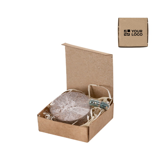 Pack de cartão reciclado com sementes de flores silvestres e substrato