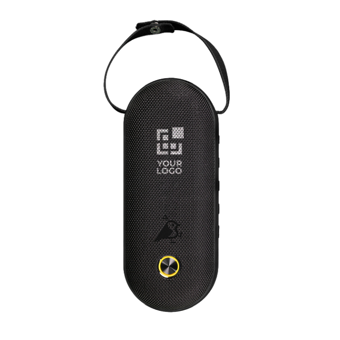 Coluna portátil com pega de transporte e iluminação RGB 8 cores 30 W