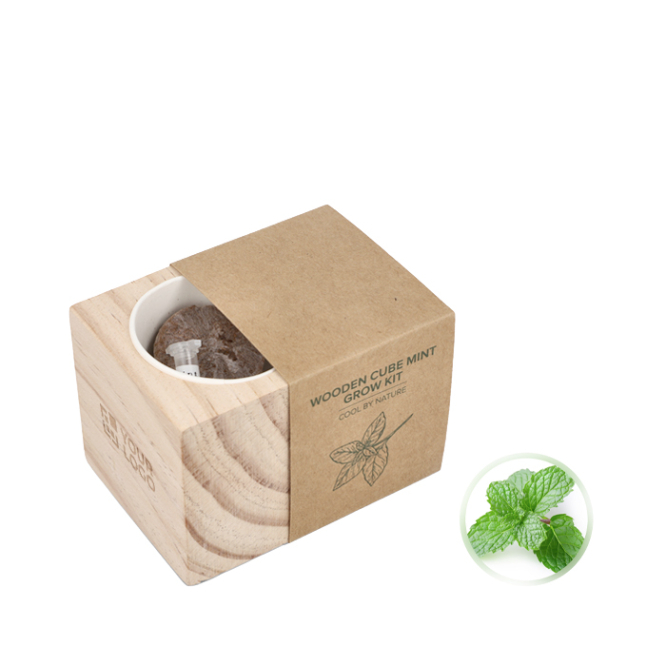 Kit de cultivo de menta com vaso e substrato de coco