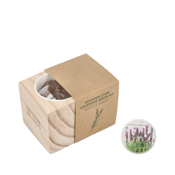 Kit de cultivo de lavanda com vaso e substrato de coco