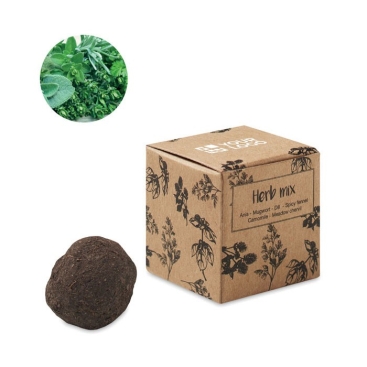 Kit de cultivo de sementes de ervas apresentado em caixa