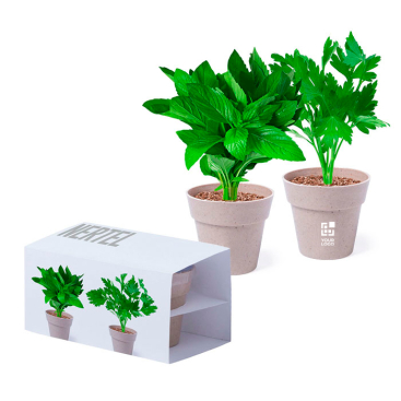 Combinação de 2 vasos para plantar personalizados de menta e salsa