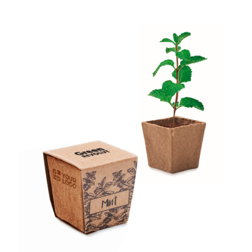 Vaso cúbico e biodegradável de sementes de menta feito na UE