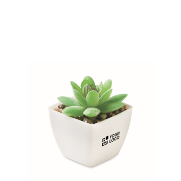 Planta mini artificial de PP tipo suculenta decorativa