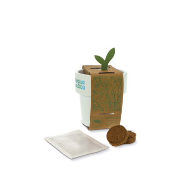 Vaso com sementes de manjericão, dupla utilidade para caneca de café vista principal