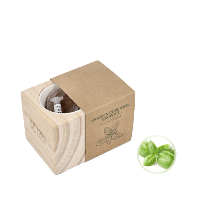 Kit de cultivo de manjericão com vaso e substrato de coco