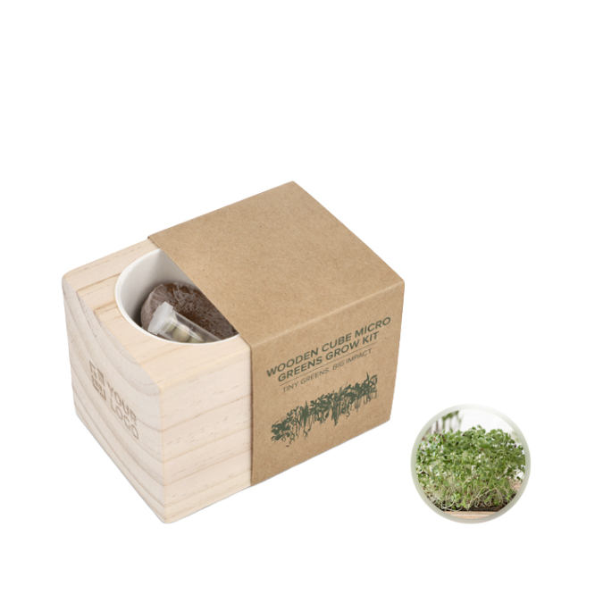 Kit de plantação de microverdes com substrato de coco