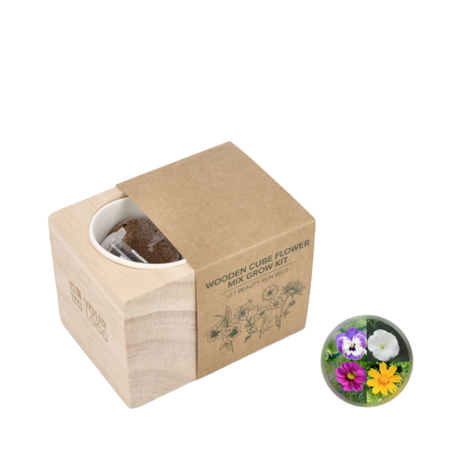 Kit de semear com vasos e substrato de fibra de coco